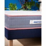 Miniature Matelas Mérinos Charly (image 12)