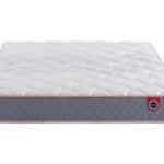 Miniature Matelas Mérinos Alphonse (image 2)